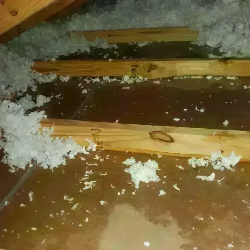 Attic Water Damage in Burlington, MA