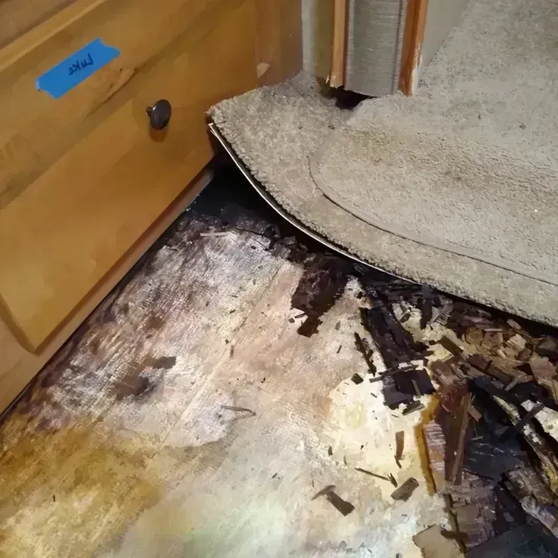 Best Wood Floor Water Damage Service in Burlington, MA